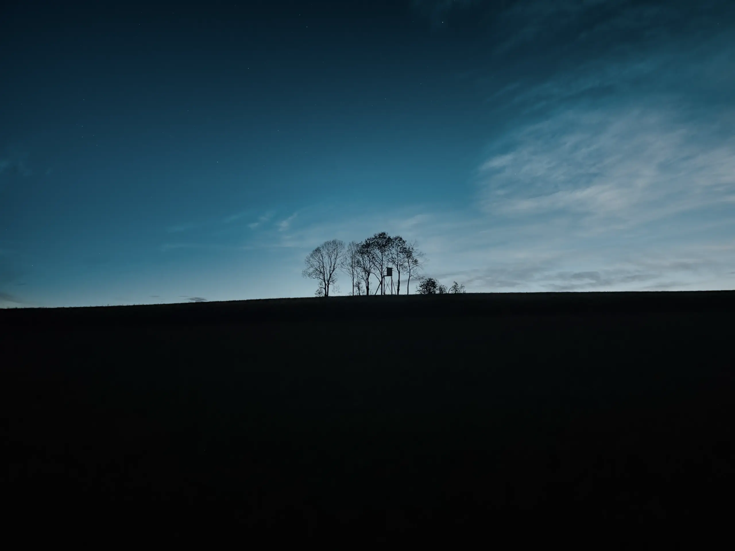 Website1