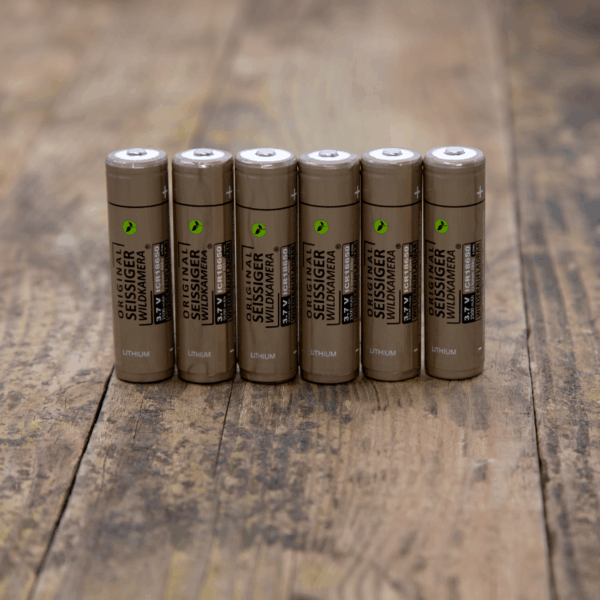 Seissiger Lithium Ionen Akkus 18650 6x Stück